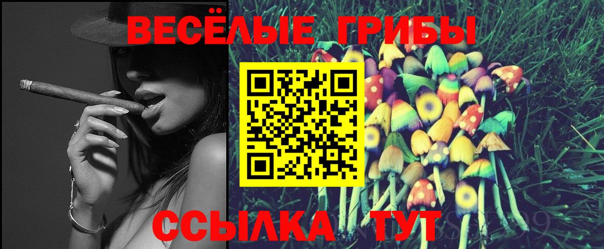 Псилоцибиновые грибы Cubensis Сызрань